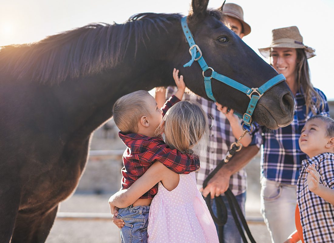 About Our Agency - Family Standing Near and Petting a Black Horse