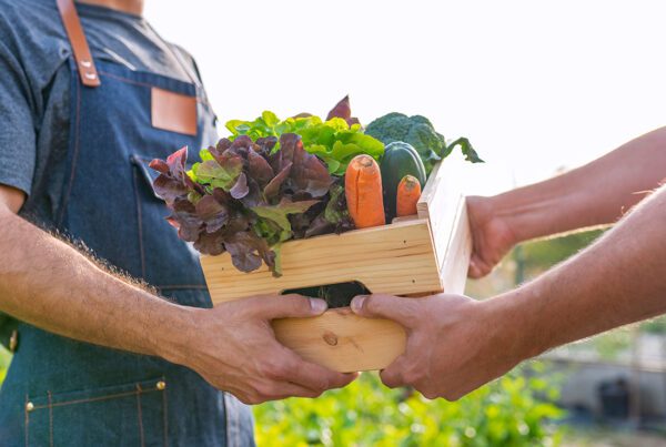 Insurance Solutions - Close-up of Two Farmers Exchanging a Crate of Crops