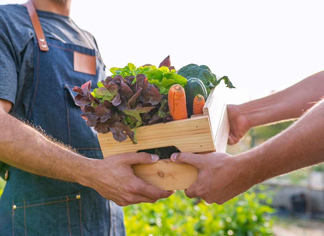 Insurance Solutions - Close-up of Two Farmers Exchanging a Crate of Crops