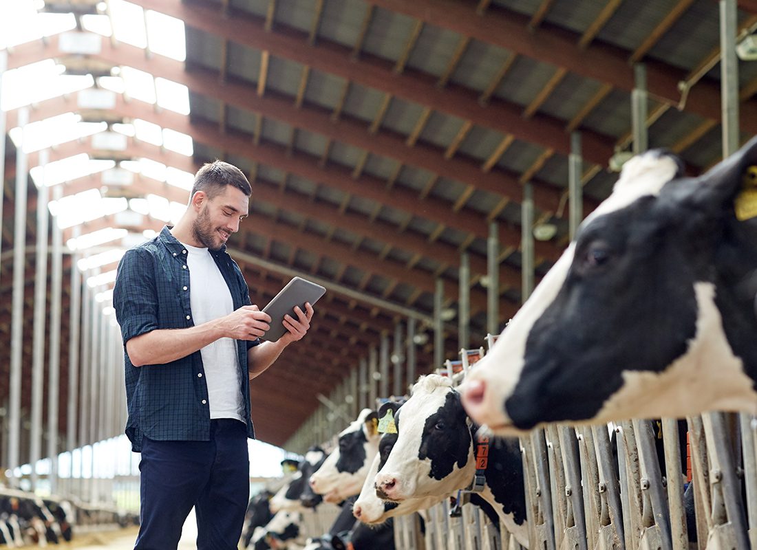 Service Center - Farmer Checking Information on a Tablet at a Cattle Farm