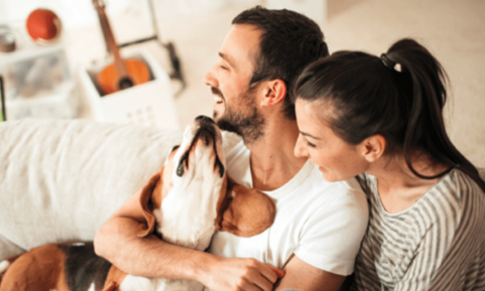 Nationwide's Pet Referral Program - Couple sitting on a couch with their dog